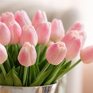 Meet your Posher, Caren